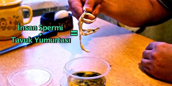 Homunculus Deneyi: İnsan Sperminin Tavuk Yumurtasına Enjekte Edilmesiyle Doğan Cüce İnsanlar Bir Efsane mi?