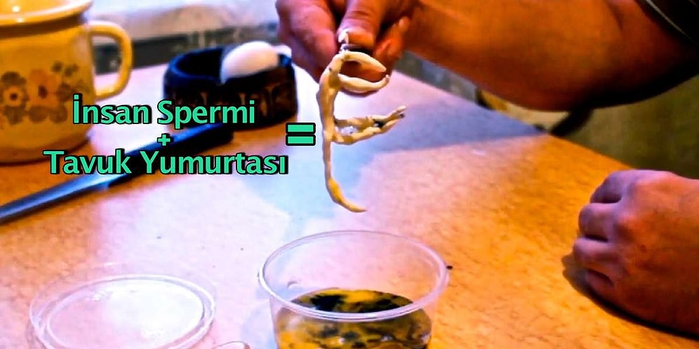 Homunculus Deneyi: İnsan Sperminin Tavuk Yumurtasına Enjekte Edilmesiyle Doğan Cüce İnsanlar Bir Efsane mi?