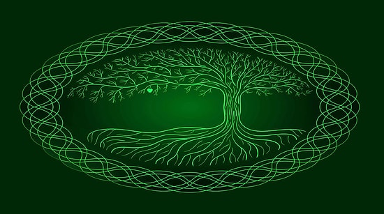 Тест: Назовите свою дату рождения, и вы узнаете, какое вы животное по гороскопу кельтов