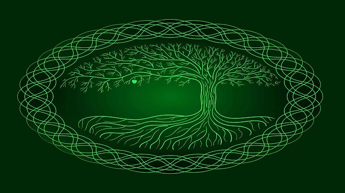 Тест: Назовите свою дату рождения, и вы узнаете, какое вы животное по гороскопу кельтов