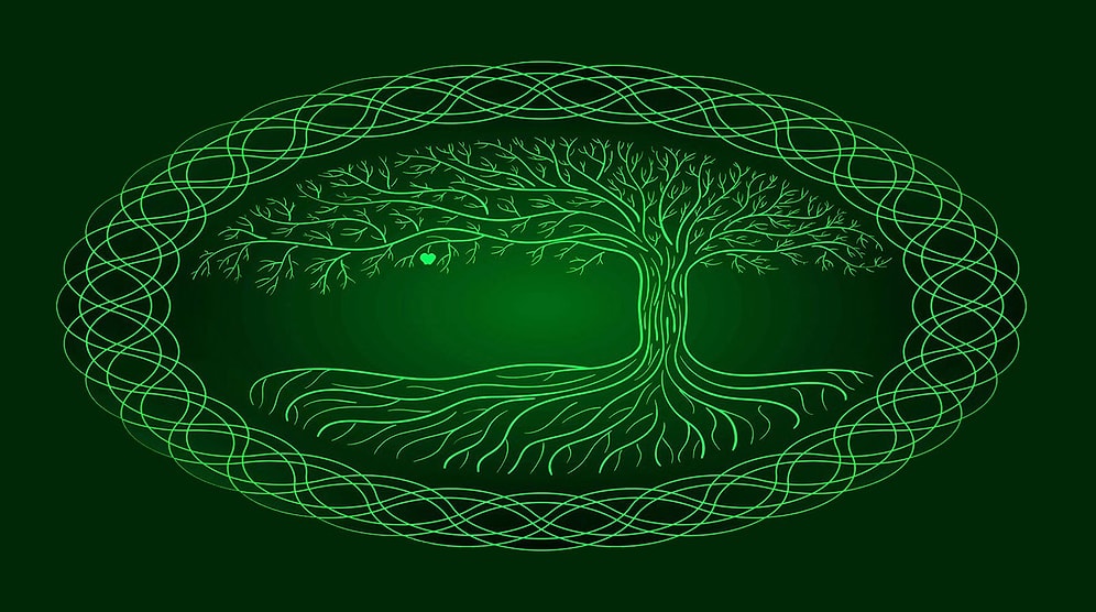 Тест: Назовите свою дату рождения, и вы узнаете, какое вы животное по гороскопу кельтов