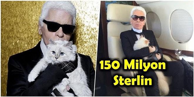 Bazen Sadece Kedi Olmak İstersin! Hayatını Kaybeden Modacı Karl Lagerfeld'in 150 Milyon Sterlinlik Mirasının Sahibi Kedi Choupette