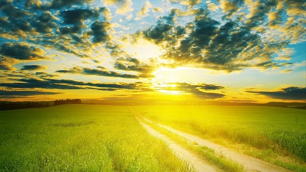 1. Что из перечисленного не является результатом деятельности человека?