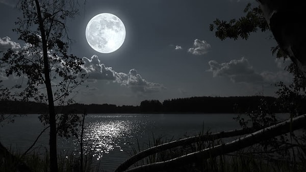 3. Кто написал "Лунную сонату"?