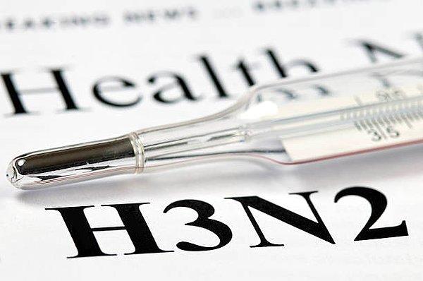 Açıklamada, ülkenin tamamına yayılan "H3N2" virüsünün neden olduğu grip salgınında 2 bin 800 kişinin yaşamını yitirdiği belirtildi.