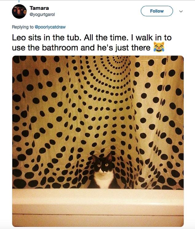 3. This cat just love the bathtub.