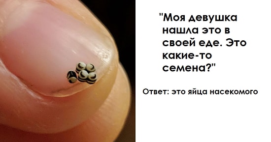 11 раз, когда люди понятия не имели, что они нашли, но пользователи интернета быстро во всем разобрались