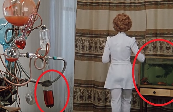 9. В фильме «Иван Васильевич меняет профессию» в соседних кадрах в мгновение ока изменяется цвет жидкости в сосуде, а из аквариума исчезают водоросли.