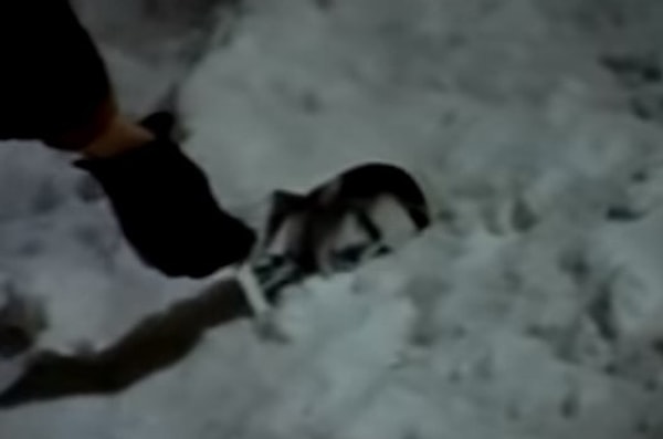 2. В «Иронии судьбы, или С лёгким паром!» падает снимок с Юрием Яковлевым, а Надя поднимает фотографию с Олегом Басилашвили.