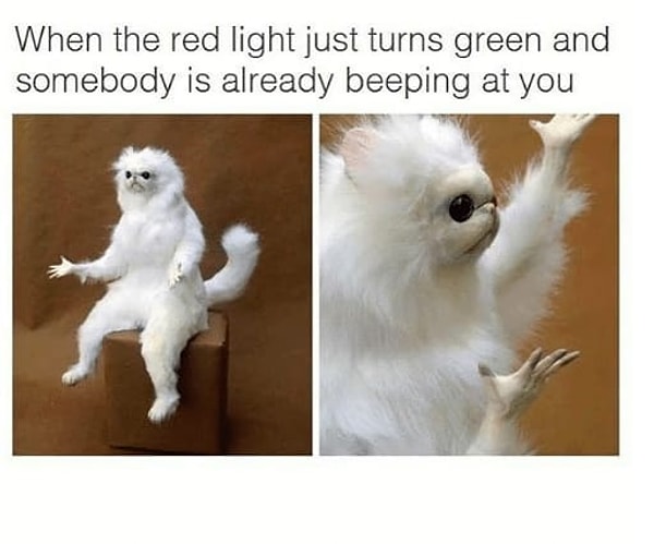 20. На дороге можно вести себя, как угодно.