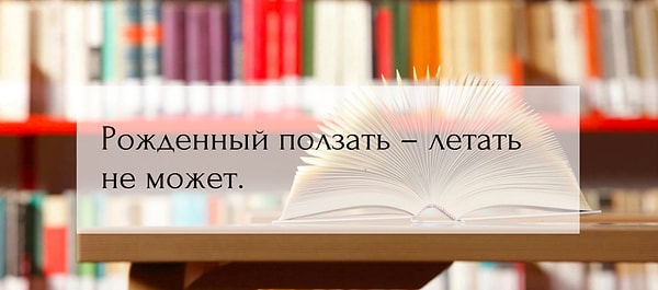 11. Что скажете?