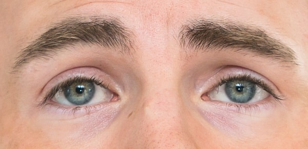 5. Кто является обладателем этих томных глаз?