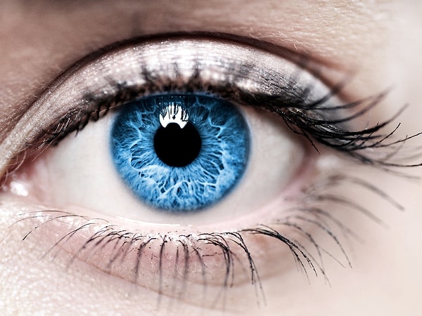 Согласно ответам, у вас голубой/серый цвет глаз!