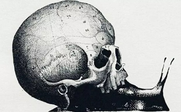 Тест: В чем заключается ваша скрытая личность? Вы узнаете ответ, взглянув всего на одну картинку