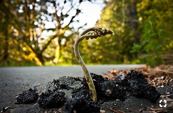 3. Остались вопросы, кто сильнее?