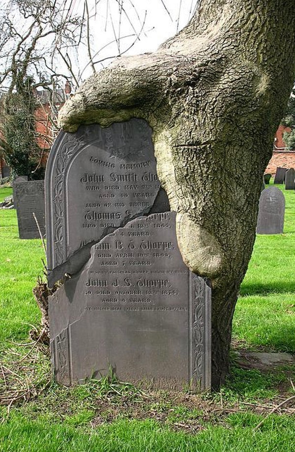 7. Любопытно, какая история скрывается за этой фотографией?