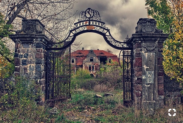 20. Природа вновь вступает в свои законные права!