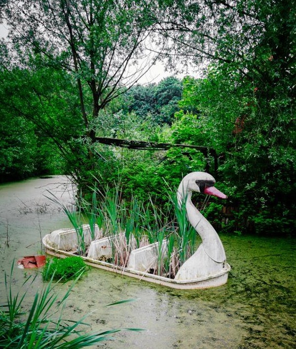 16. Из аттракционов в клумбу