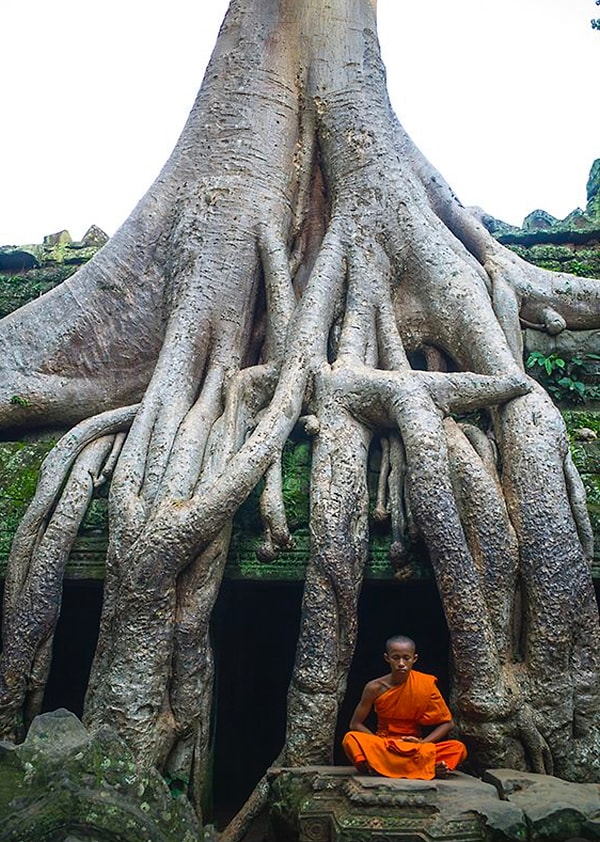 11. Словно какой-то монстр поедает свою жертву!