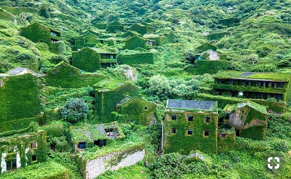 21. «Утонувший в зелени». В буквальном смысле