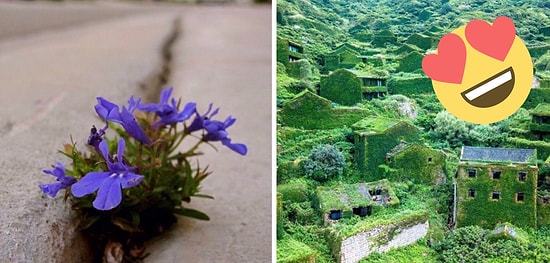 Природа - это сила, с которой нужно считаться (22 впечатляющих фото)