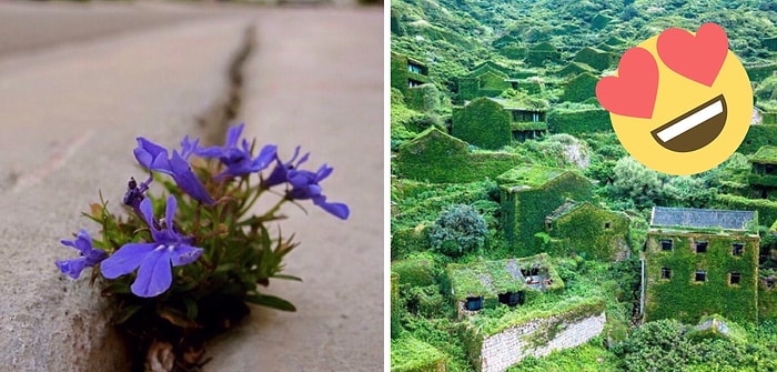 Природа - это сила, с которой нужно считаться (22 впечатляющих фото)