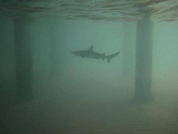 4. Появляется страх, когда смотрите на эту картинку?