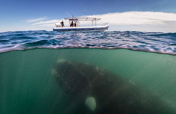 5. Что скажете? Неприятное фото?