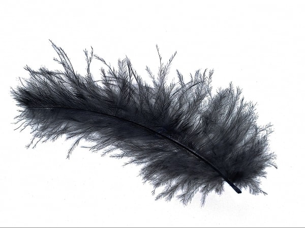 Вы весите 45 кг!