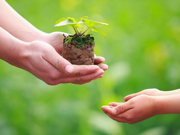 Научитесь не только давать, но и принимать!