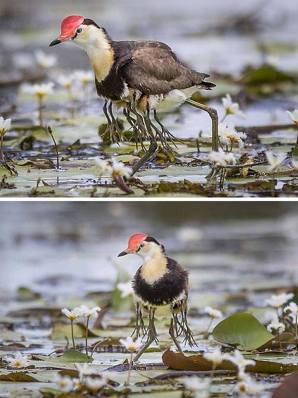 7. В случае опасности хватайте детей и бегите!