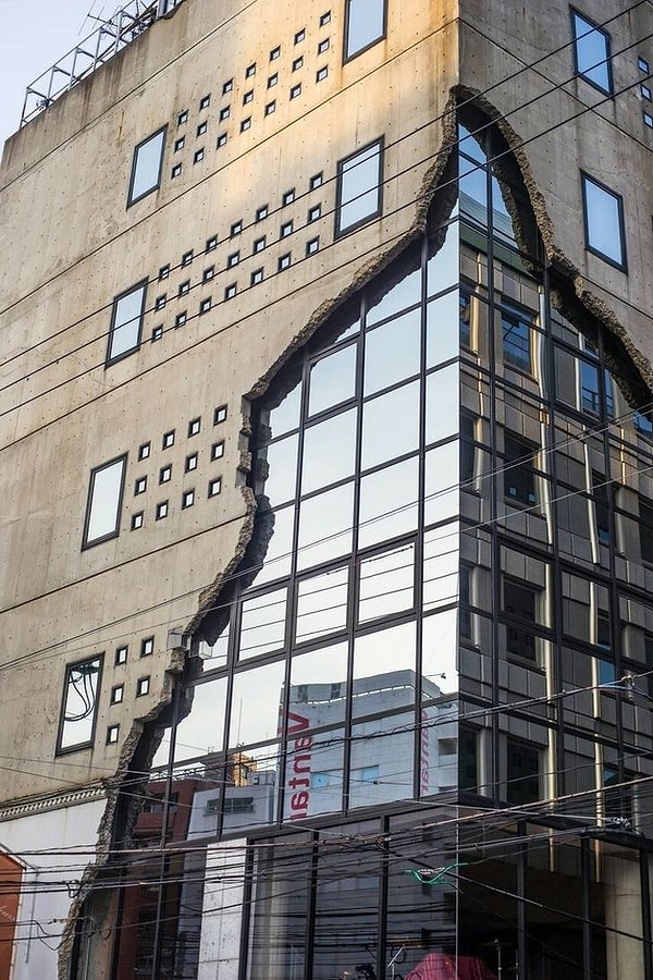 22. Похоже, дом сбрасывает свою старую кожу