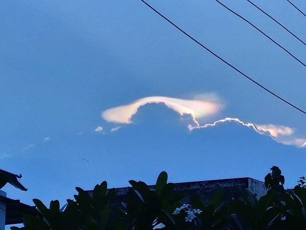 27. “Я увидел это прекрасное природное явление недалеко от дома”