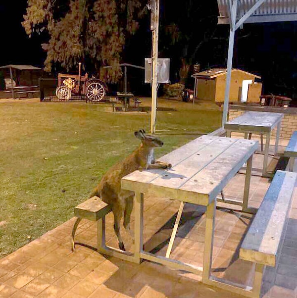 40. На этом все. Не забудьте поделиться с друзьями :)