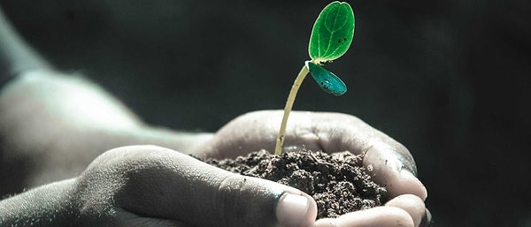 4. Чтобы жизнь была возможна на какой-либо экзопланете, нужно...