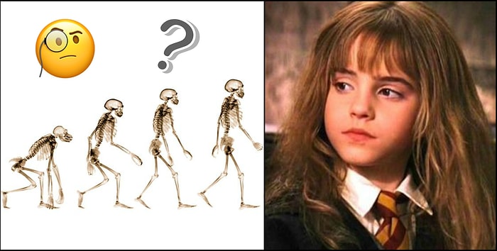 Тест: Хватит ли ваших знаний, чтобы ответить правильно хотя бы на 9 вопросов?