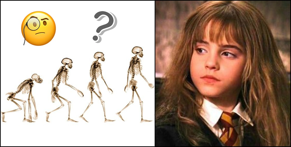 Тест: Хватит ли ваших знаний, чтобы ответить правильно хотя бы на 9 вопросов?