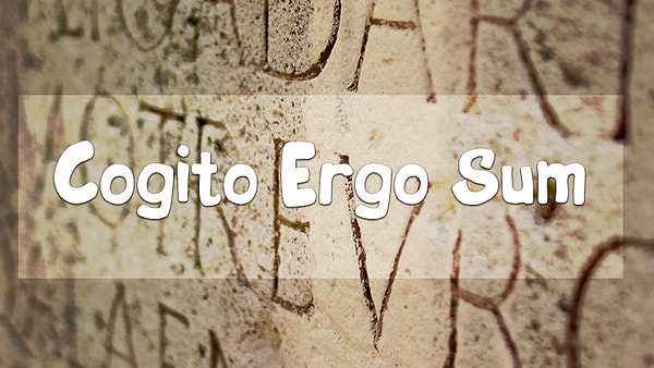 4. А как переводится эта фраза?