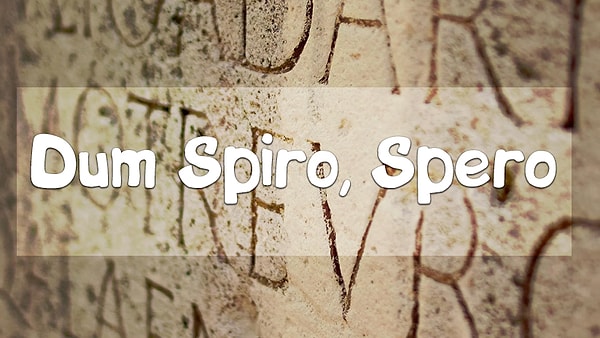 7. А как эта фраза звучит на русском?