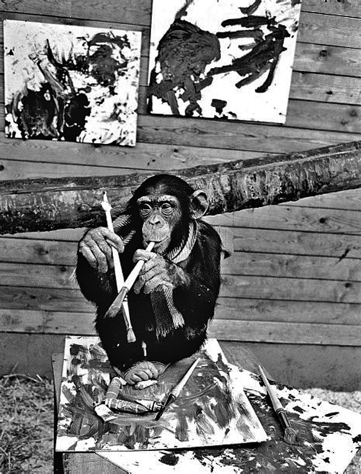 Acayip Bilgiler Kuşağında Bu Hafta Ufkunuzu İki Katına Çıkaracak 20