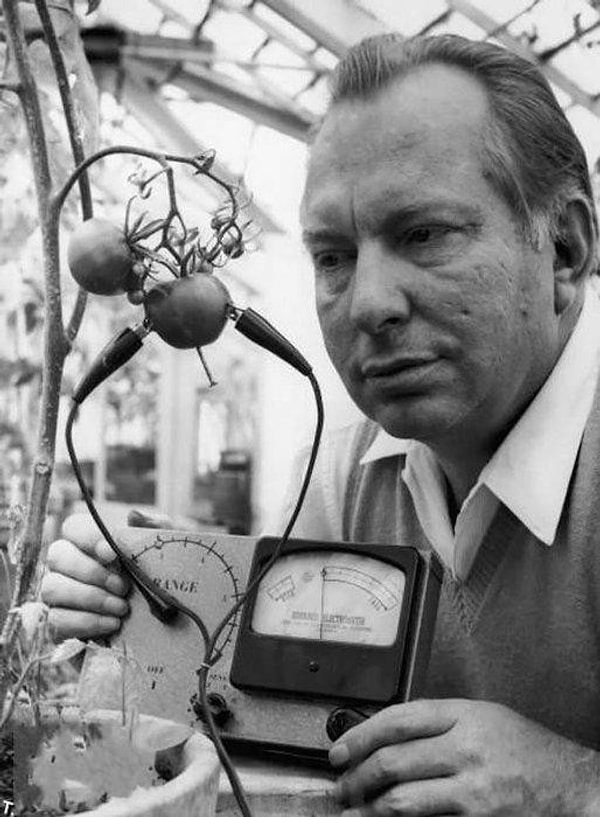 35. Электрометр Хаббарда