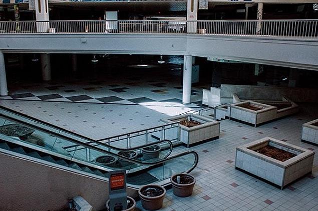 39. "Valley View Mall in Dallas, Texas has been closed since 2017."