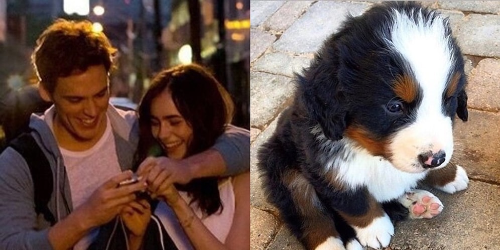 Kötü Giden Aşk Hayatınızın Tedavisini Bilim Açıkladı: Partnerinizle Beraber Minik Dostların Fotoğraflarına Bakmak!