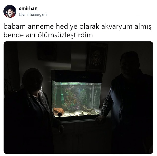 6. Balık temalı.