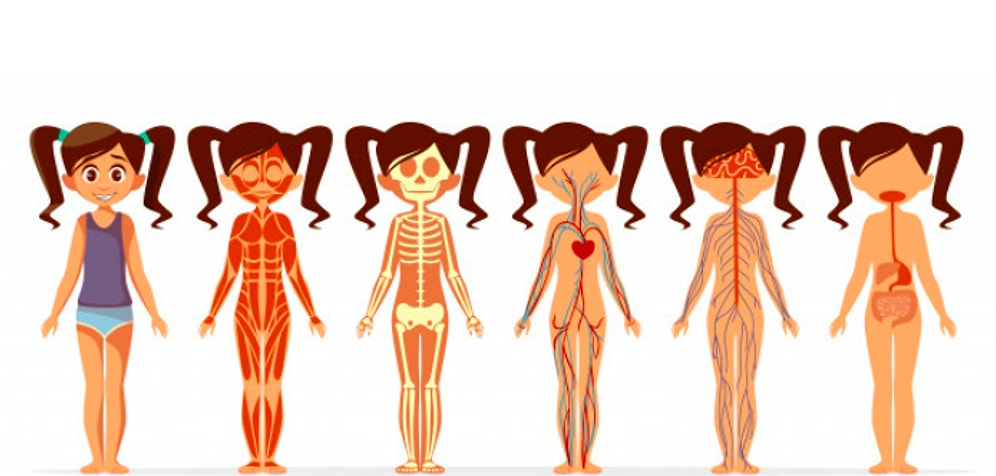 Если вы не пройдите тест на знание окружающего мира, то вам стоило бы вернуться в третий класс