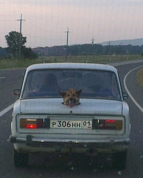 20. Вот она, российская смекалка с безуминкой