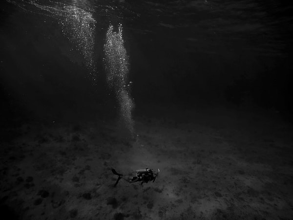 15. Снимок был сделан во время подводной экскурсии неподалеку от северного побережья острова Большой Кайман