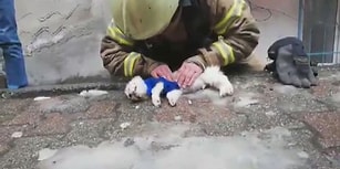 Yürek Yakan Anlar: Dumandan Etkilenen Köpeği Hayata Döndürmeye Çalışan İtfaiye Eri!