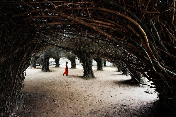 41. Квинтэссенция безмятежности