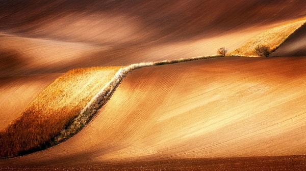 53. Золотые волны